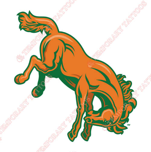 Texas Pan American Broncs Customize Temporary Tattoos Stickers NO.6518